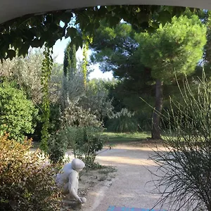 La Maison Des Voyageurs , Arles France